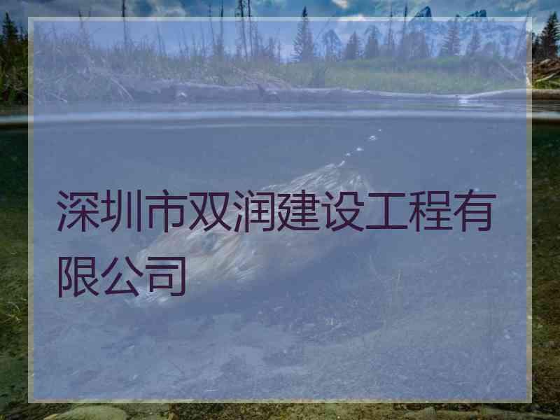 深圳市双润建设工程有限公司