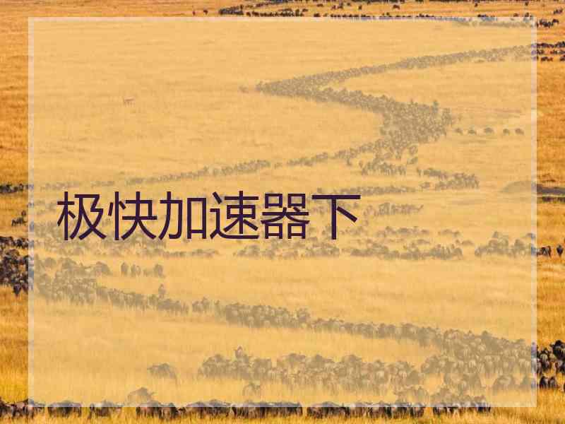 极快加速器下