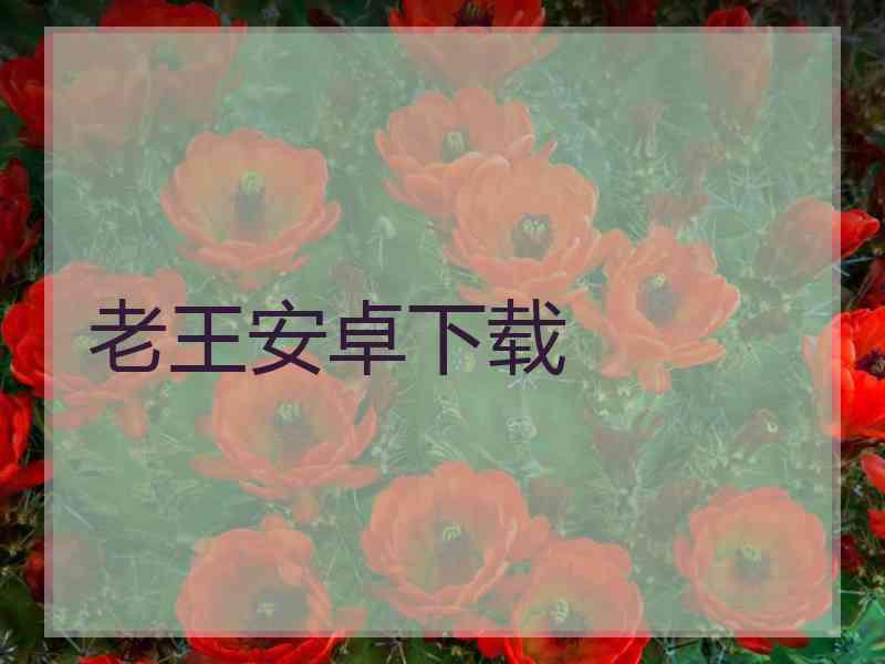 老王安卓下载