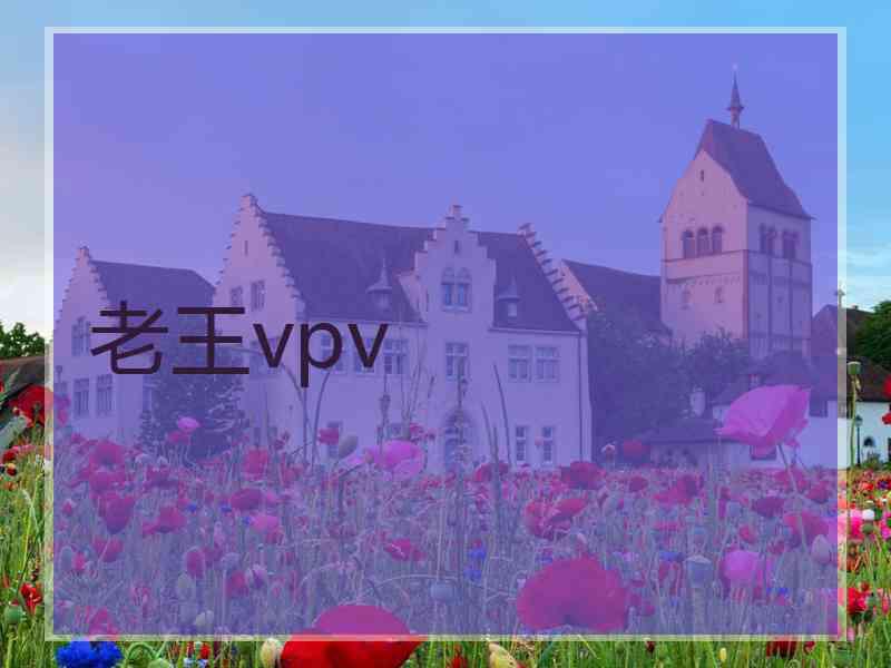 老王vpv