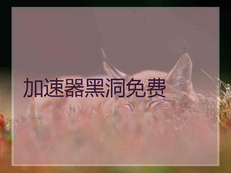 加速器黑洞免费