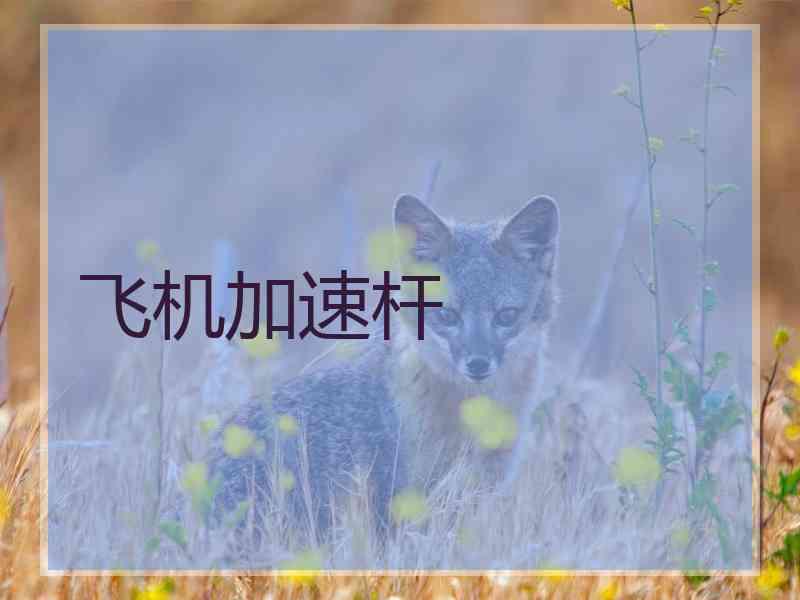飞机加速杆