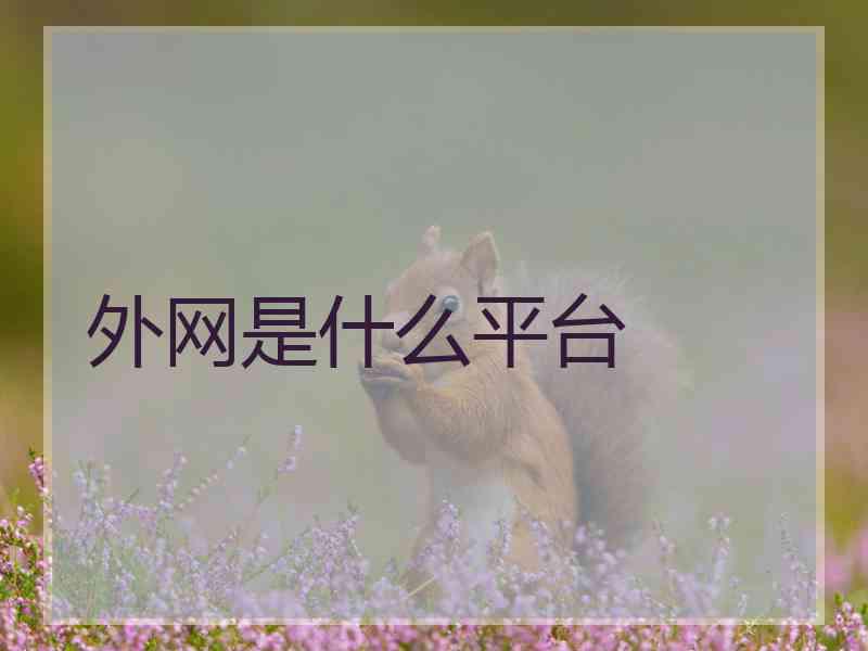外网是什么平台