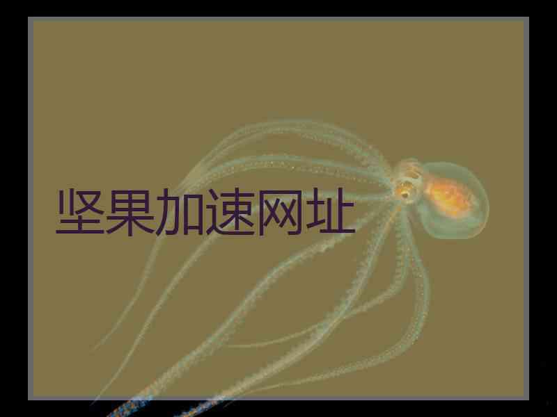 坚果加速网址