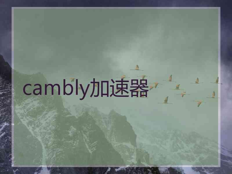 cambly加速器