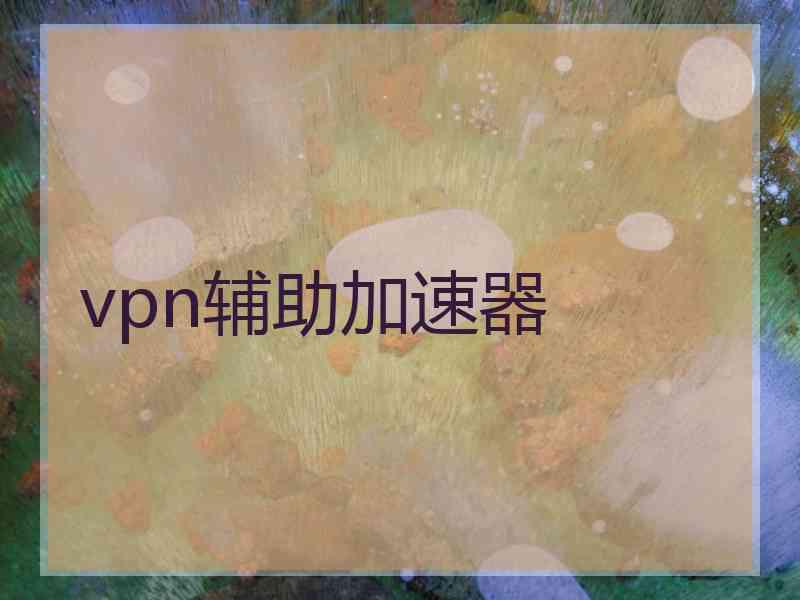 vpn辅助加速器