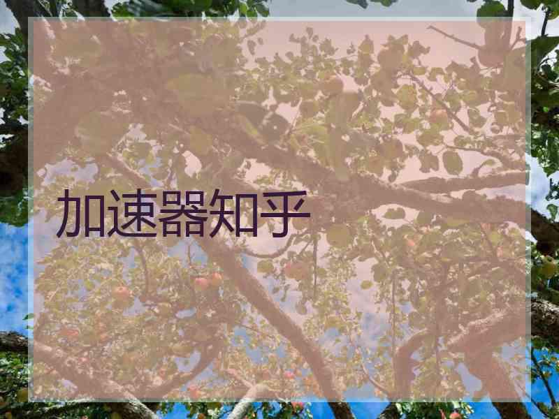 加速器知乎