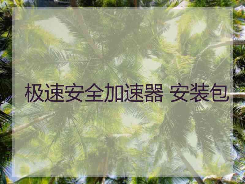 极速安全加速器 安装包