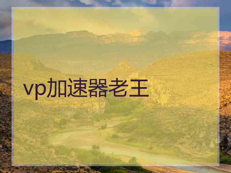 vp加速器老王