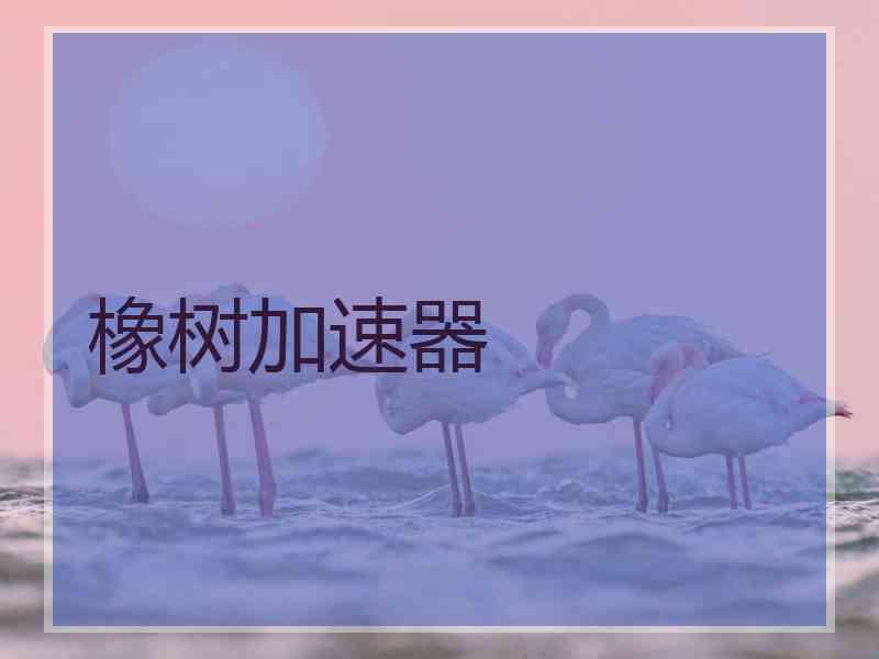橡树加速器