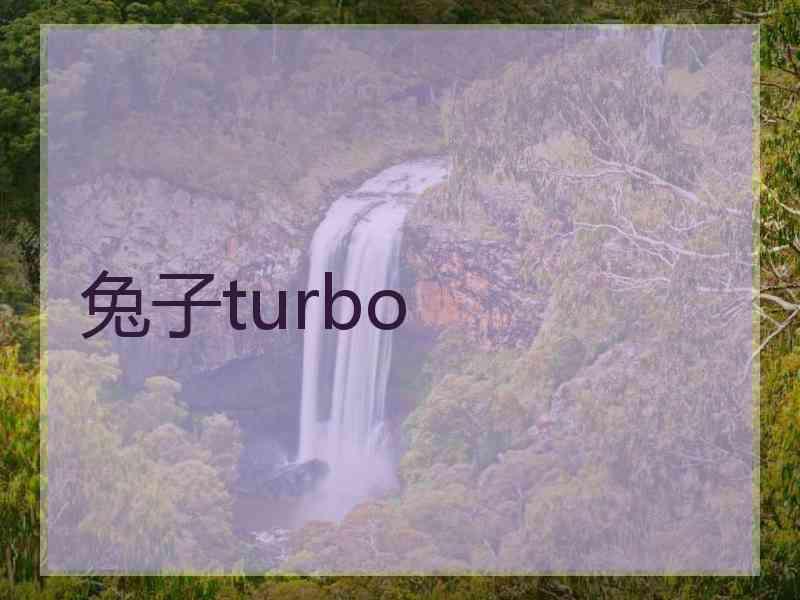 兔子turbo