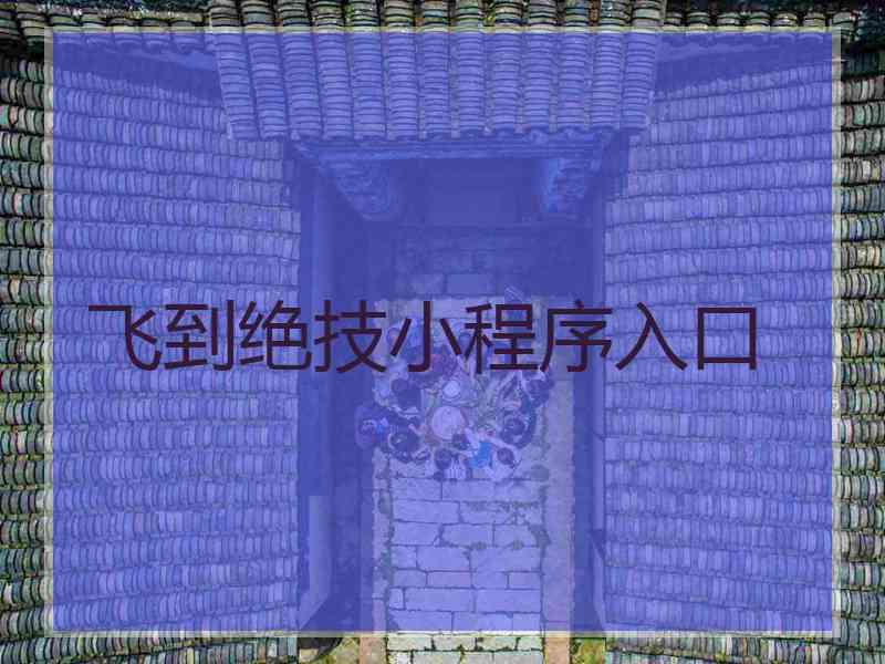 飞到绝技小程序入口