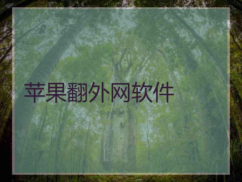 苹果翻外网软件