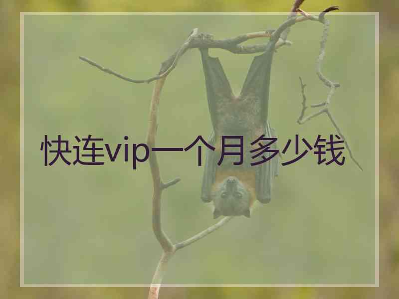 快连vip一个月多少钱