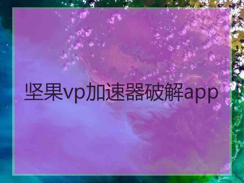 坚果vp加速器破解app