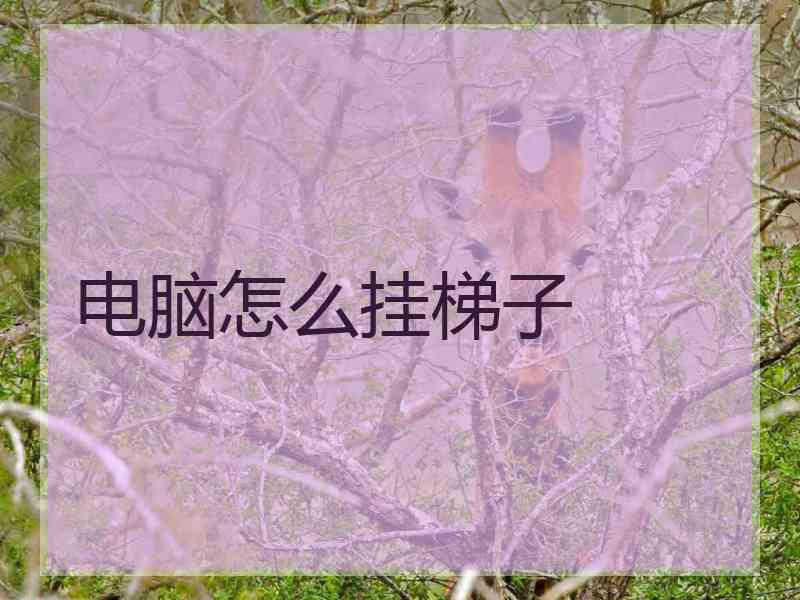 电脑怎么挂梯子