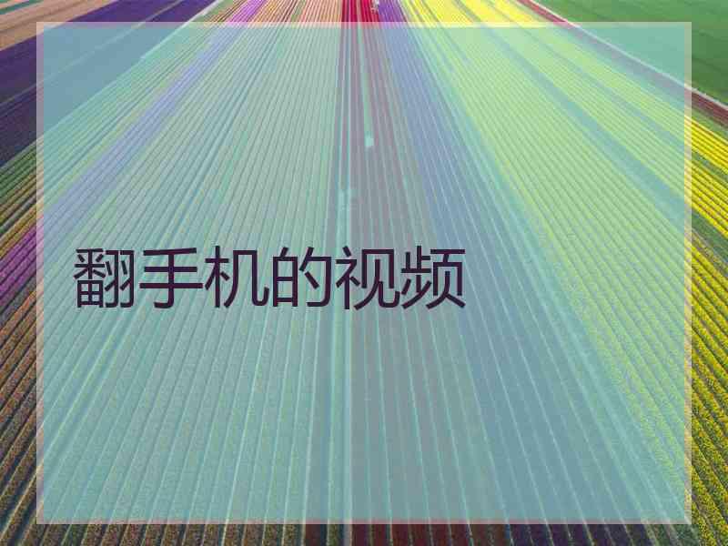 翻手机的视频