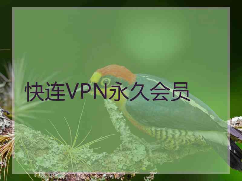快连VPN永久会员