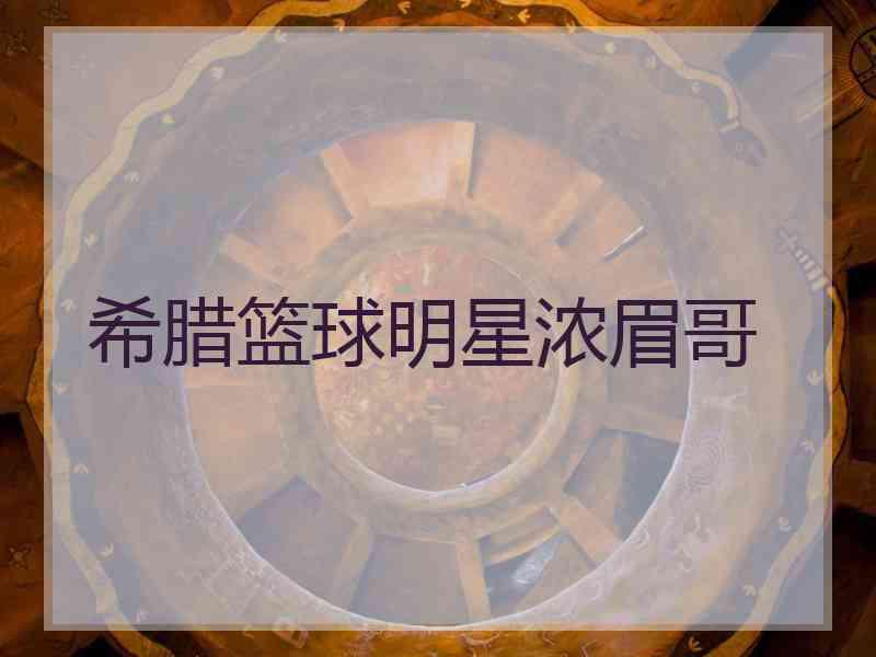 希腊篮球明星浓眉哥