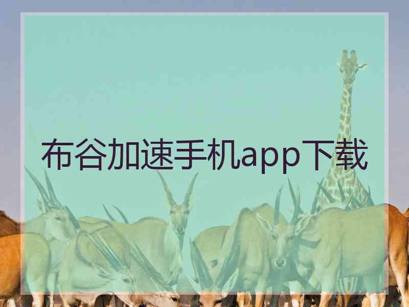 布谷加速手机app下载