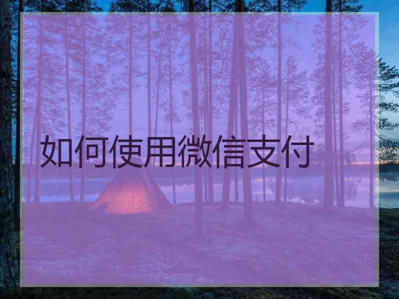 如何使用微信支付