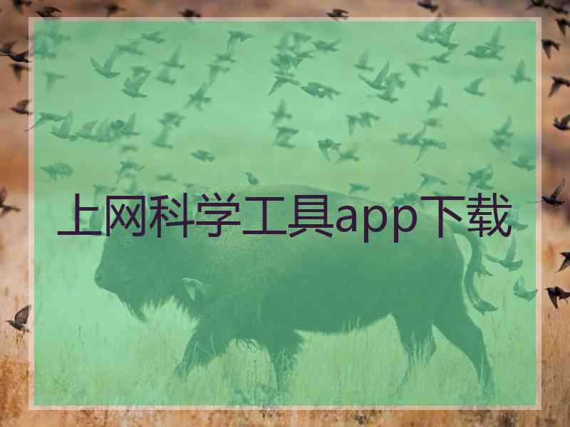 上网科学工具app下载