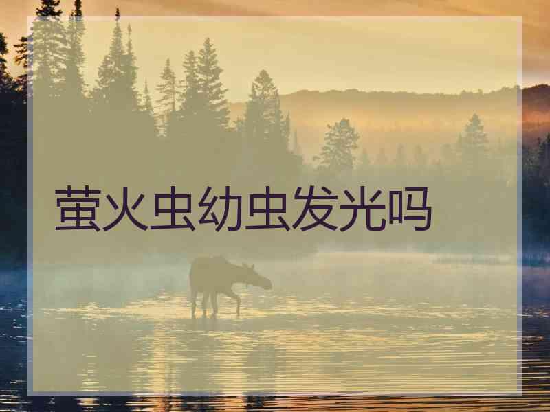 萤火虫幼虫发光吗
