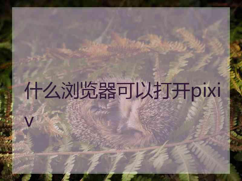 什么浏览器可以打开pixiv