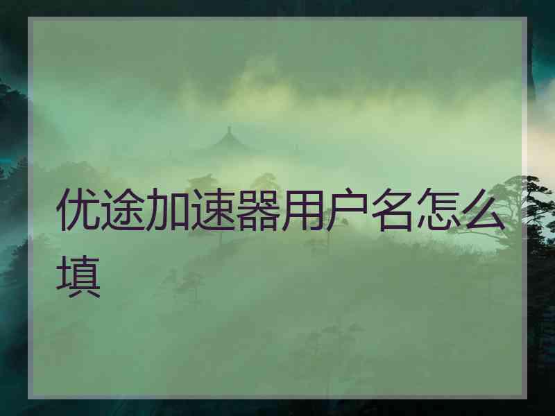 优途加速器用户名怎么填