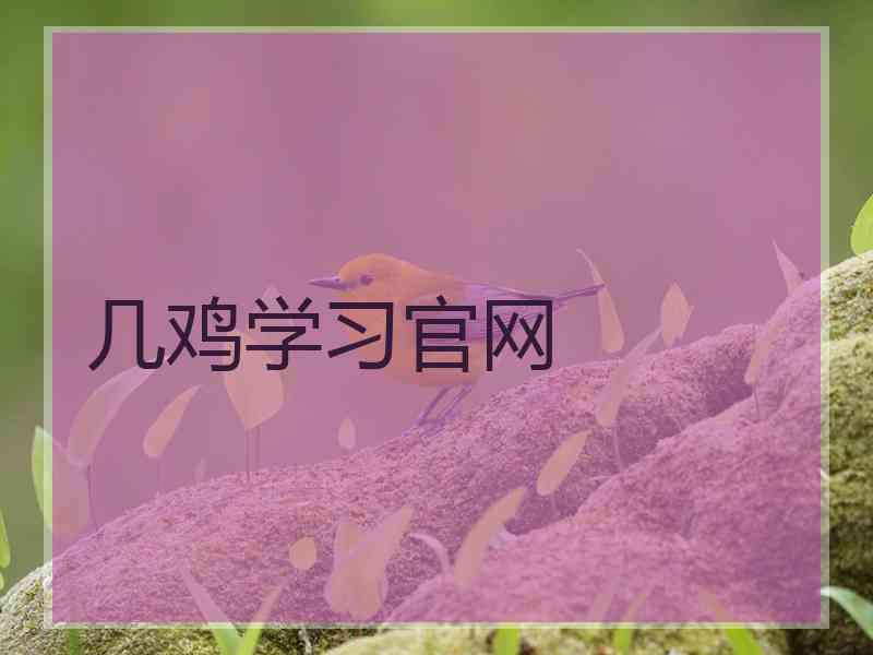 几鸡学习官网