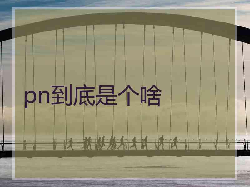 pn到底是个啥