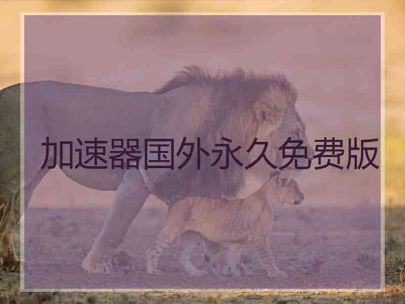 加速器国外永久免费版