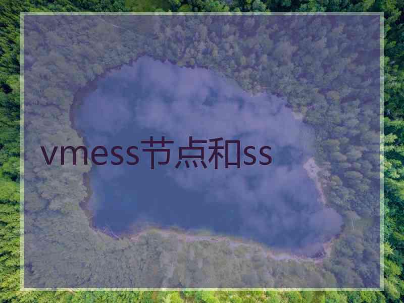 vmess节点和ss