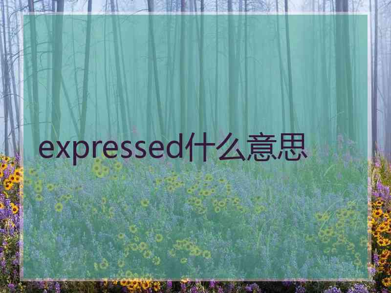 expressed什么意思