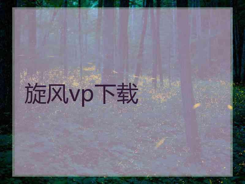 旋风vp下载