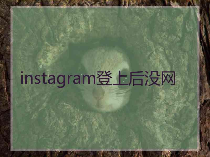 instagram登上后没网