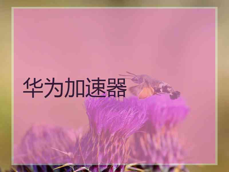 华为加速器