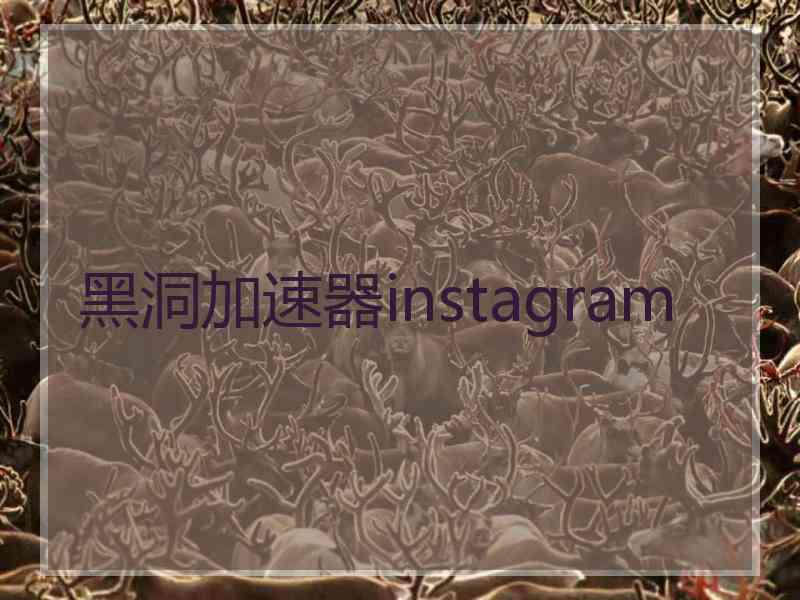 黑洞加速器instagram