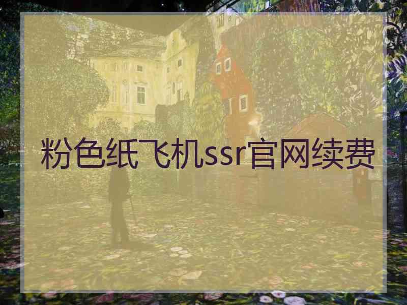 粉色纸飞机ssr官网续费