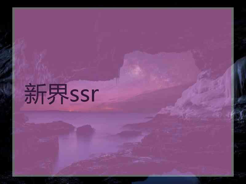 新界ssr