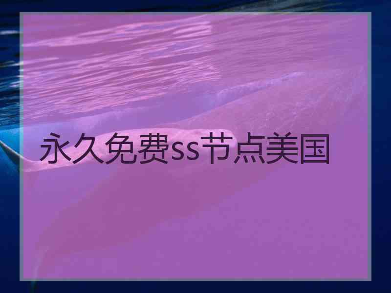 永久免费ss节点美国