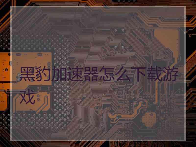黑豹加速器怎么下载游戏