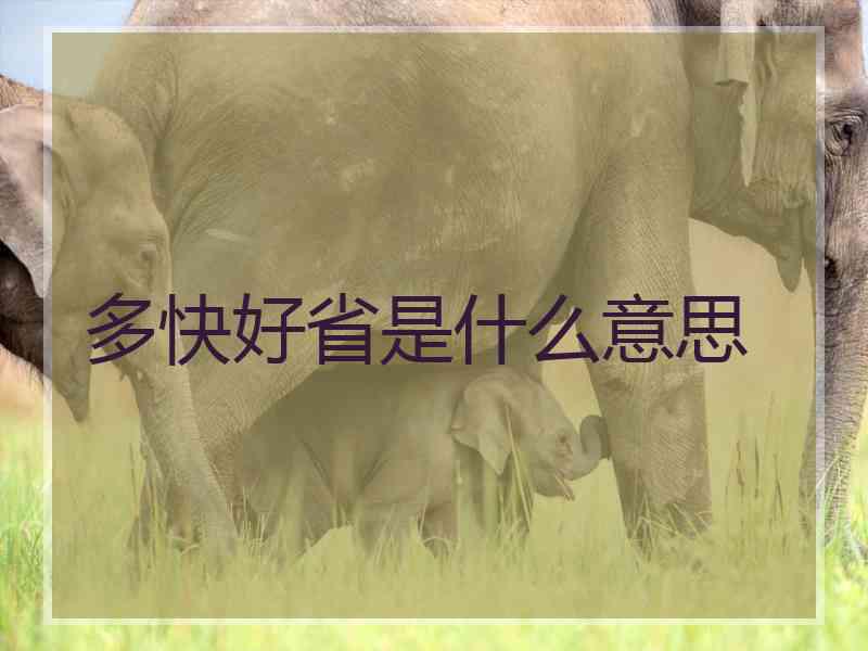 多快好省是什么意思
