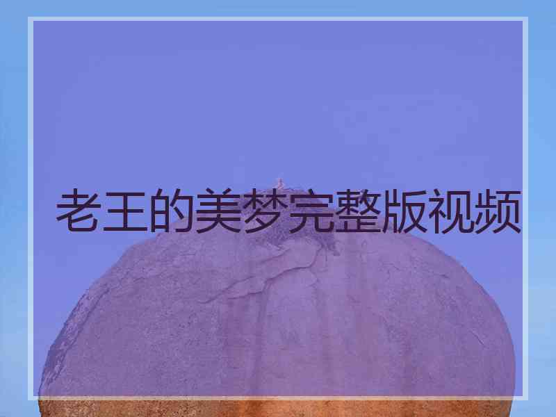 老王的美梦完整版视频