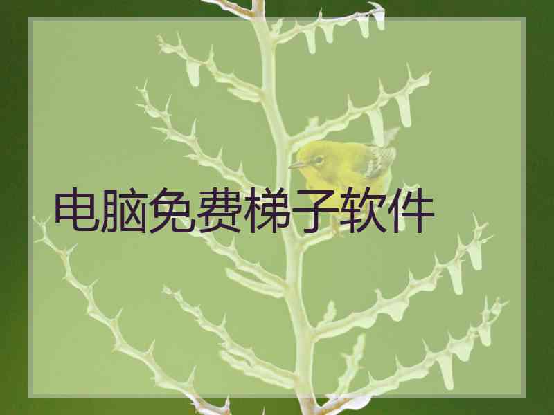 电脑免费梯子软件
