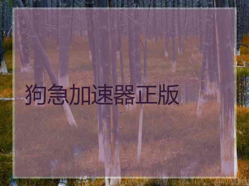 狗急加速器正版