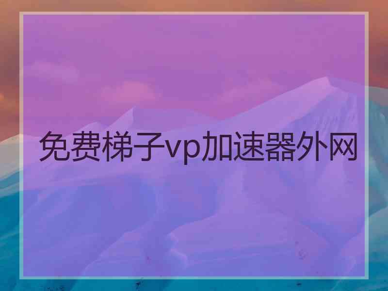 免费梯子vp加速器外网