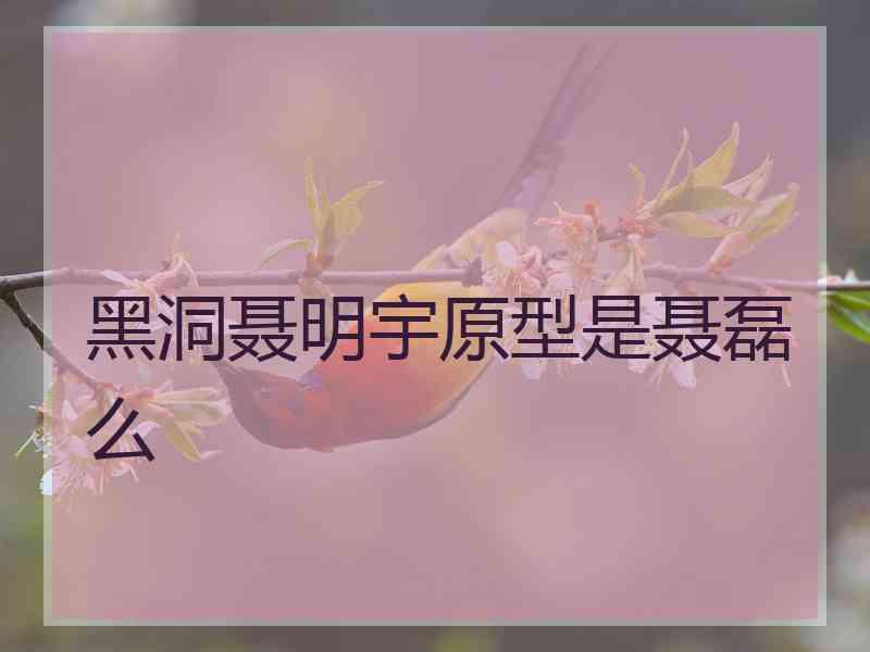 黑洞聂明宇原型是聂磊么