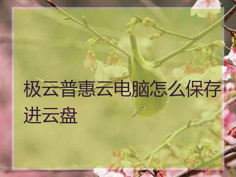 极云普惠云电脑怎么保存进云盘