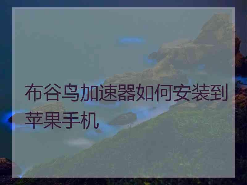 布谷鸟加速器如何安装到苹果手机